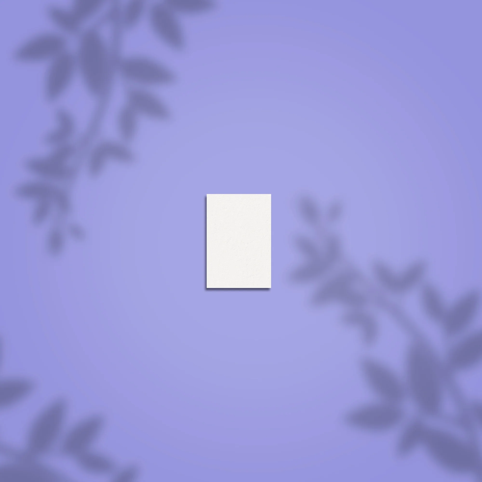 NFB-51m-100-180-50 Grinding buff rectangular mini EXPERT 51 100/180 grit - Image 1